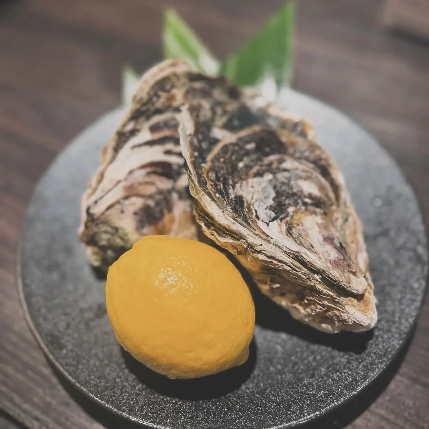新鮮な海の恵みに乾杯!🎉 居酒屋「岩牡蠣」で、贅沢なひと時を...